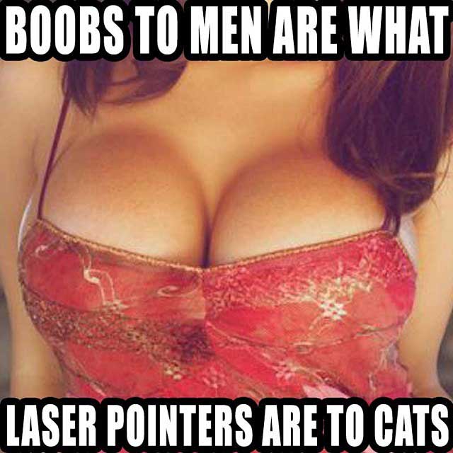 Boob memes by the hilarious creators of Schnitzel n Tits – Schnitzel n Tits